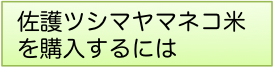 ヤマネコ米を購入するには1