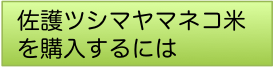 ヤマネコ米を購入するには2