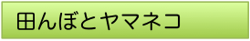 田んぼとヤマネコ2