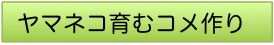 ヤマネコ育む米作り2